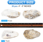 30pcs Large Oyster Shells 4-5in Flat Concave Diy Crafts Beach Decor - Us