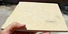 7 0  Unprepared Fossil Fish From 18  Layer     Dempsey Ranch  Wyoming