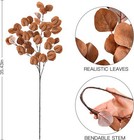 Sggvecsy 6 Pcs Fall Artificial Eucalyptus Stems Long Silver Dollar Dark Brown 