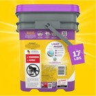  2 Pack  Purina Tidy Cats Light Clumping Cat Litter  Glade Clean Blossom  17 Lb