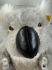 Steiff Koala Bear Plush 10    Stuffed Animal Moveable Hands   Feet Germany 040160