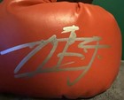 Naoya    the Monster    Inoue Autographed Everlast Boxing Glove