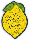 Inspirational Refrigerator Scripture Magnet For Women   Girls With Bible Vers   