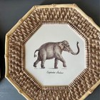 Raymond Waites Empire Tiger And Elephant Octagonal Dinner Plates