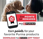 Purina Moist And Meaty Burger With Cheddar Cheese Flavor Dry Soft Dog Food