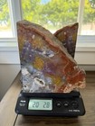 Red Arizona Petrified Wood Bookends 20lbs 7 75    Tall 9151 226 Grams