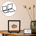 2 Pack 5 5 Inch Shark Tooth Holder Floating Frame Display Case  Megalodon Sha   