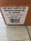 Berkeley Gulp Alive 4 3 4  Slim Shaky Worm New In Sealed  bucket  Gaoslsw5-bf