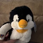 Webkinz Lil  Kinz Penguin -hs132 Retired  New  Sealed  Unused Code  Adorable