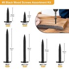 160pcs  8 Modified Truss Head Wood Screws Assortment Kit  Stainless Steel 410 Qu