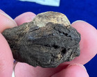 Civil War Bullet In Tree Wood Gettysburg Musket Ball Provenance Irish Brigade