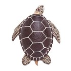 Sea Turtle Animal Figurine Safari Ltd  Toy Incredible Creatures
