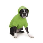 Zack   Zoey Basic Dog Hoodie  12  Small  Parrot Green - Cozy Pet Apparel
