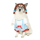 Halloween Xl Dog Walkie Costume Dorothy Wicked Wizard Of Oz Ruby Slippers