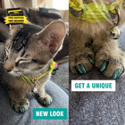 10x Colors   100 Pcs Cat Nail Caps   Cat Claw Covers With Adhesives And Applicat