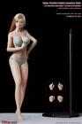 Tbleague 1 6 Pale Girl Full Female Seamless Figure W  Head S34 Phicen    usa   