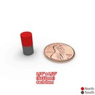 Lot 10 25 50 1 4 X 1 2 Inch Neodymium Rare Earth Cylinder Magnets N48 Wholesale