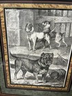 Set Of 4 Antique Dog Engravings London 1880 By Specht  Rare Collectible 