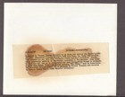 The Mummy 1959 Original Photo W snype Peter Cushing Christopher Lee Hammer Films