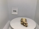 4202308 Netsuke Carved Buddha Supine On Sack