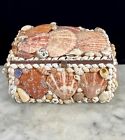 Vintage Seashell Treasure Box Sailors Valentine Folk Art 7   x 5    Souvenir Shell