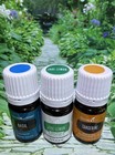 Young Living Basil Jade Lemon Tangerine Essential Oil Lot New Sealed