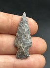 Top Quality Onondaga Lamoka-pa Indian Artifact-bridge Site-otego  Ny- Ballards