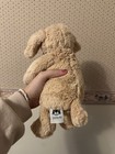Jellycat London Medium Bashful Toffee Puppy Dog 12    Light Brown Plush