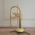Yamaha  Yfh-8310z Flugelhorn