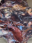 Rare 10 67lb Dead Camel Jasper Baskinite Rough