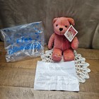 Bright Avon Talking Valentino The Love Bear Plush Stuffed Animal Toy Cute Works