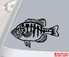 Bluegill Vinyl Decal Sticker Car Truck Window Wall Bumper Sunfish Fish Fishing