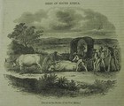 1838 Paper  Cape Colony Oxen  Beekeeping In America  Circassians  Penny Magazine