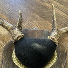 Deer Antler Taxidermy Mount Wood Plaque Black Felt Gold Trim  1267