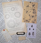Ephemera Pack  field Notes  Junk Journal Collage Paper Crafts Altered Art