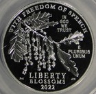 2022-w  100 Proof American Platinum Eagle Freedom Of Speech Anacs Pf70dc