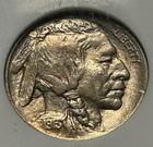 1913 Type 1 Buffalo Nickel     Ngc Ms64 Cac     Old Fatty Holder 