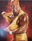 Hulk Hogan Autographed Signed 16x20 Photo Wwe Beckett Bas Qr
