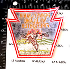 Pennsylvania Wildland Firefighter Patch  fd1  Shoulder Insignia