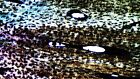 Antique Microscope Slide  L s Of Human Femur By Edmund Wheeler 