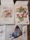 Vera Mouse Marjolein Bastin Hallmark 12 Greeting Cards   Envelopes Mixed New