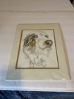 Lisa Rasmussen Australian Shepherd Watercolor Print Signed Coa Blue Eyes 11x14