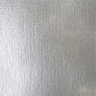 Liquitex Basics Acrylic Paint  946ml  32 Oz  Jar  Silver - Vibrant Art Supplies