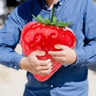 13inch Large Artificial Red Strawberry  Oversize Fake Fruit  Home Kitchen Decor
