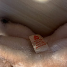 Steiff Vintage Plush Fox Stuffed Animal W  Button   Tag 1960
