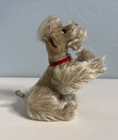 Vintage Steiff Poodle Dog    snobby    Mohair Collar Jointed Limbs - Sits   Stands
