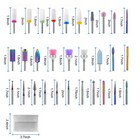 20pcs Nail Drill Bits Electric Manicure Pedicure Tools File Drill Grinding Head