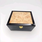 Funeral Chest Cremation Urn Kit Casket Wood Gloss Cherrywood Ashes Box See Desc