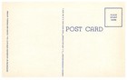 Postcard Two Desert Donkeys Desert Sweethearts Vintage Advertising