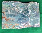 Srs lightly Polished Green Petrified Jasperised Slab   hampton Butte  Ore 